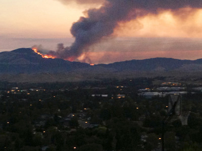 Forest fires raise questions of consequences