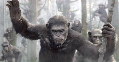 2014: The Year of Blockbusters