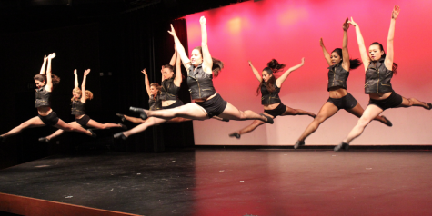 Dance leaps for joy in annual show