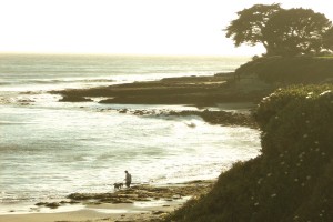 Cities heatin’ up spring fever- Santa Cruz