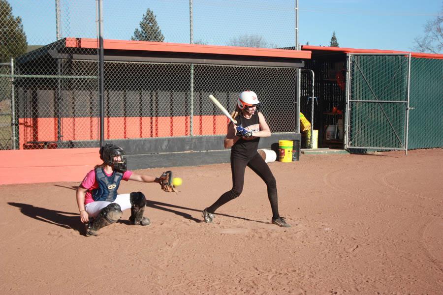 Softball eager to return to NCS