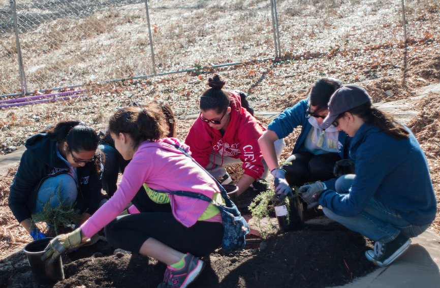 Cal High Interact students and other volunteers band together to help make the Iron Horse beautification project a reality.