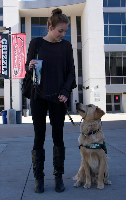 Senior Niamh Horn stops on campus with Sanjay, the one-year-old golden retriever she’s been training since January.