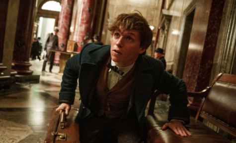 ‘Fantastic Beasts’ is a success