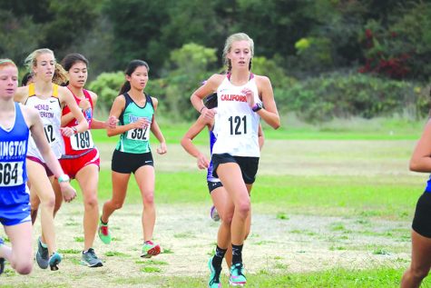 Cross country duo runs to state finals