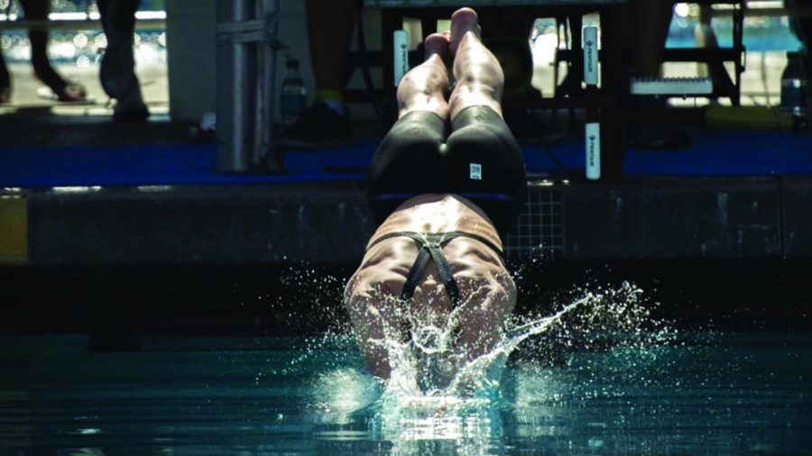 Junior Daniella Hawkins dives into the pool during the CIF State Swimming Championships last year. She placed in the top eight in both of her events this year.