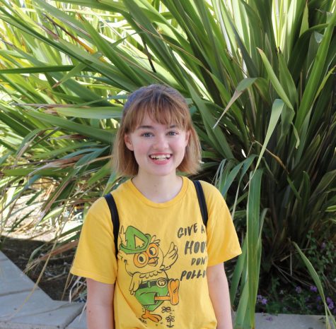 Zoe Medlin’s art displayed in D.C.