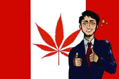 New law has Canada flying high