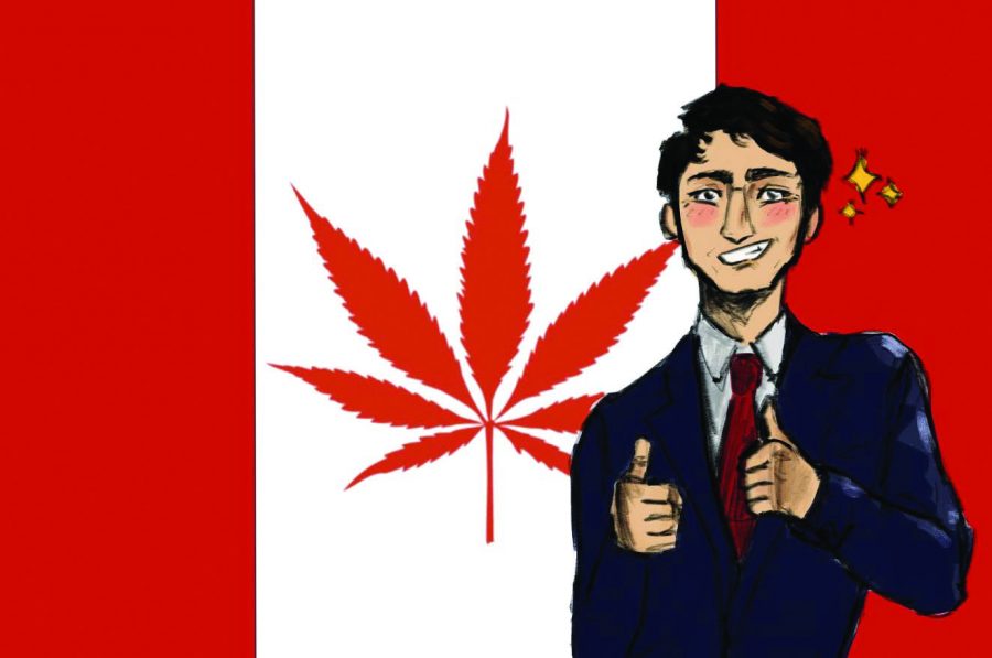 The swift embrace of recreational marijuana use in Canada comes with a dark reality; according to Huffington Post, there have been over 56,000 “police reported incidents” of cannabis possession in Canada since Justin Trudeau became Prime Minister.  