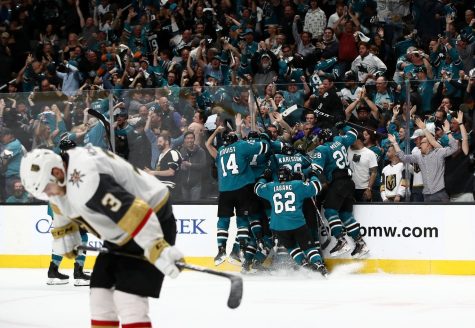 Sharks don’t get love they deserve