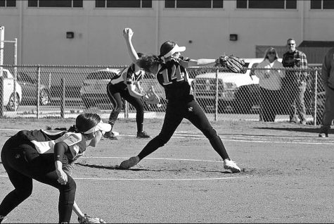 Cal spring sports heating up