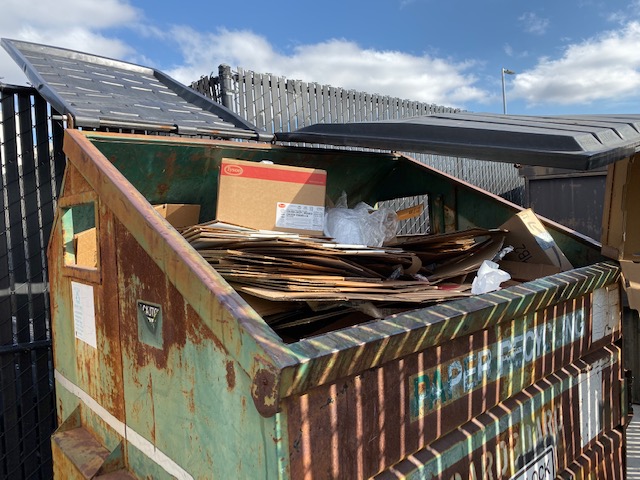 Cardboard boxes are placed in one of the recycling dumpsters in the back parking lot.