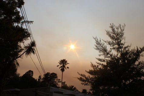 Smoke from the fires have covered skies like fog.