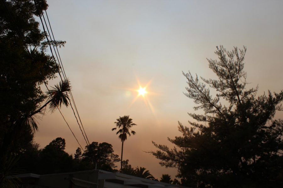 Smoke from the fires have covered skies like fog. 