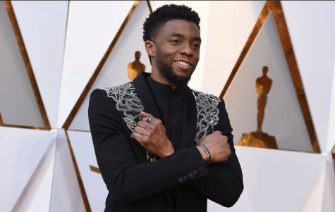 'Black Panther' icon Chadwick Boseman leaves a lasting impact after passing away