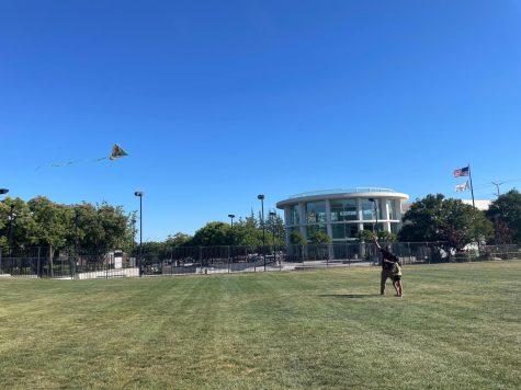 A girl and her father fly a kite on a field at Central Park, where the Art and Wind Festival will be held this weekend.