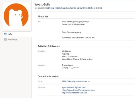 Students such as News Lite Editor Wyatt Golla have made the  most out of the new Schoology bio feature by highlighting their interests, hobbies and, of course, their cleverness.
