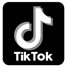 Going viral on TikTok is a dream for its users, and it only takes one post to make it on everyones For You page. But there is no guarantee the TikTok fame will last long.