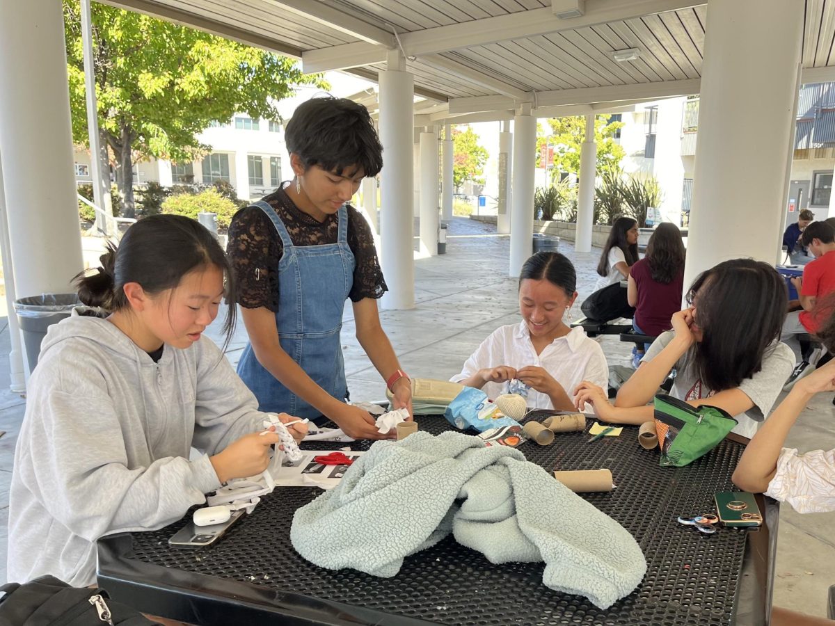 Animal Outlook Club members gather to make pet toys for a local animal shelter. The club was created to support animal welfare and educate students on campus.