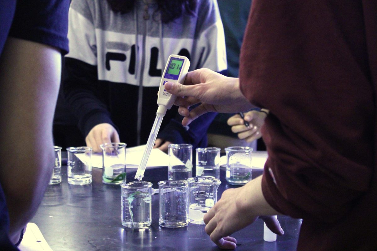 Students work on a lab for AP Environmental Science, one of several advanced STEM classes offered at Cal.