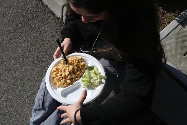 Upon the death of the vegetarian lasagna, a new dish has emerged in its place: the mac and cheese, which is met with varying positive and negative opinions from students. 