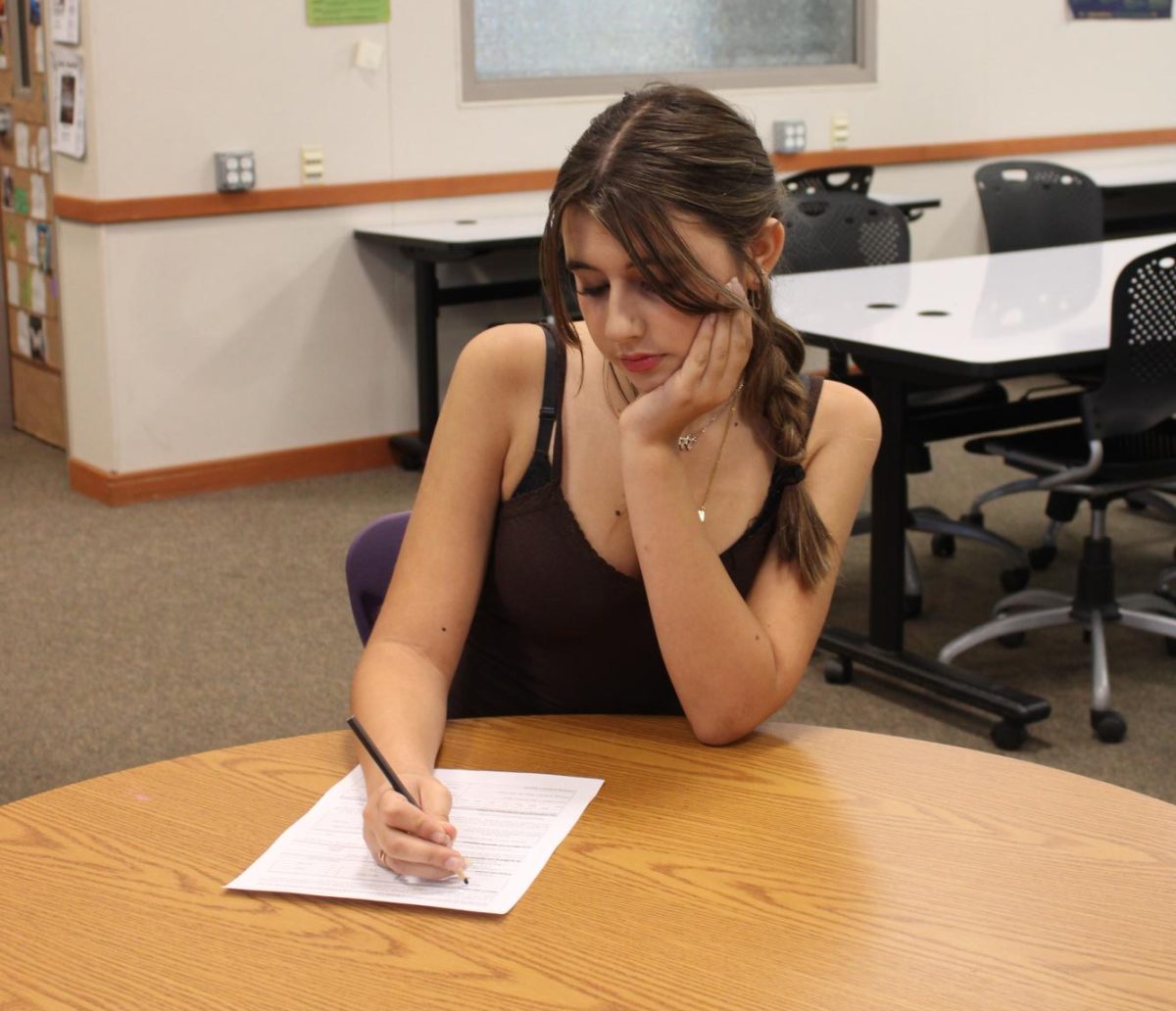 Freshman Sofia Kling fills out her work permit for her summer job at Dublin Iceland as a party host.